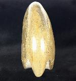 Manticoceras cf. intumescens (BEYRICH 1837) - Bild &copy; FossNet FossilienStore